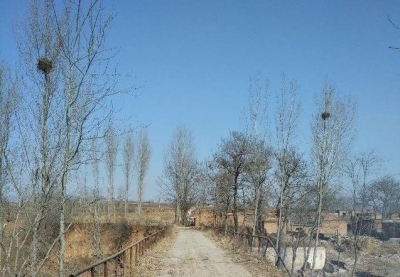 美文｜石俊青：小村里的大锅饭