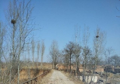 王宁生诗二首《故乡》《蟋蟀》