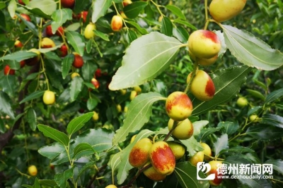 诗｜于佳琪：秋的门扉