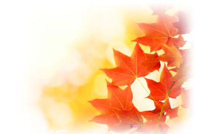 散文 | 曾正伟：秋之韵