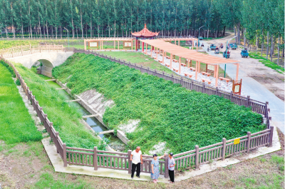 走进乡村看小康 | 德城区黄河涯镇焦庄村：一户一景 文明宜居