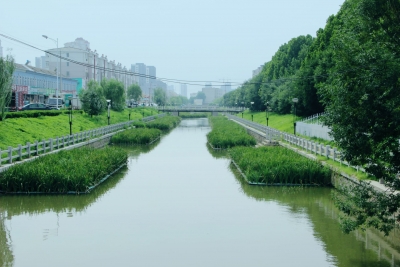 诗｜王金箱：奥运之歌（外一首）