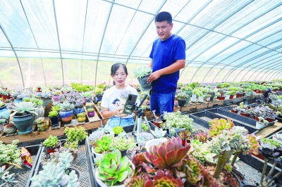 农民丰收节特刊 | 武城：发展现代农业  保障丰产丰收