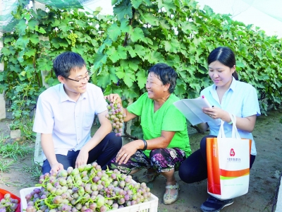 农民丰收节特刊 | 宁津农商银行：普惠金融兴产业  扎根“三农”惠民生