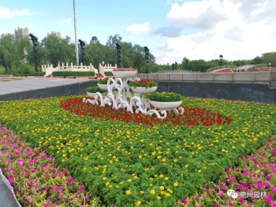 德州市诗词协会庆祝新中国成立72周年作品选（二）