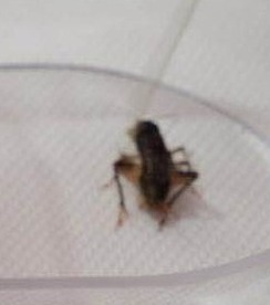 诗｜刘立新：走进九月