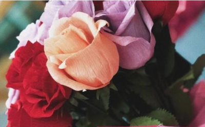 教师礼赞 · 美文｜张汝奎：难忘杨凤英老师