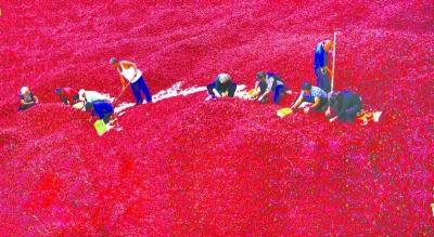 高水平打造乡村振兴齐鲁样板｜德州：凝聚人才力量 赋能乡村振兴