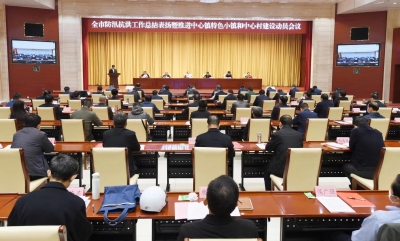 德州召开防汛抗洪工作总结表扬暨推进中心镇特色小镇和中心村建设动员会 | 田卫东讲话 苑衍刚主持 