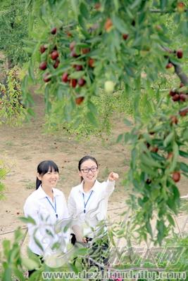 美文｜殷俪恺：故乡枣林 