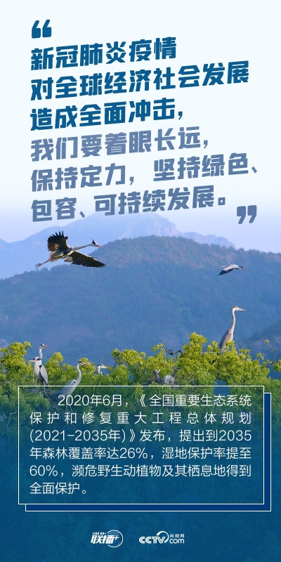我们的共同家园｜加减之间 跟着总书记践行“绿色之诺”