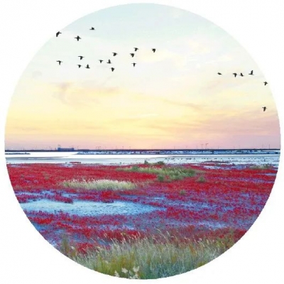 碧海蓝天，山东擦亮海洋生态“名片”