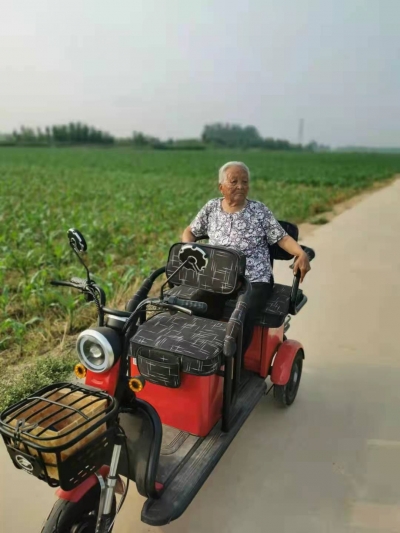 “您养我长大，我陪您变老” | 陵城金宝国从北京返乡照顾老母亲，为她种花，带她旅游