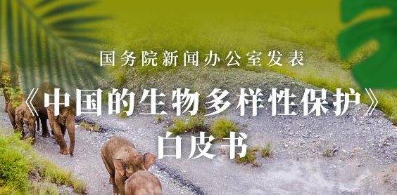 中国的生物多样性保护 