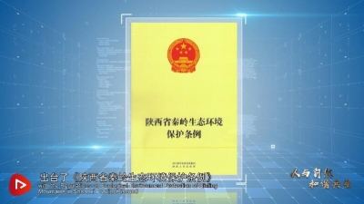 我们的共同家园｜和谐共生 锦绣陕西