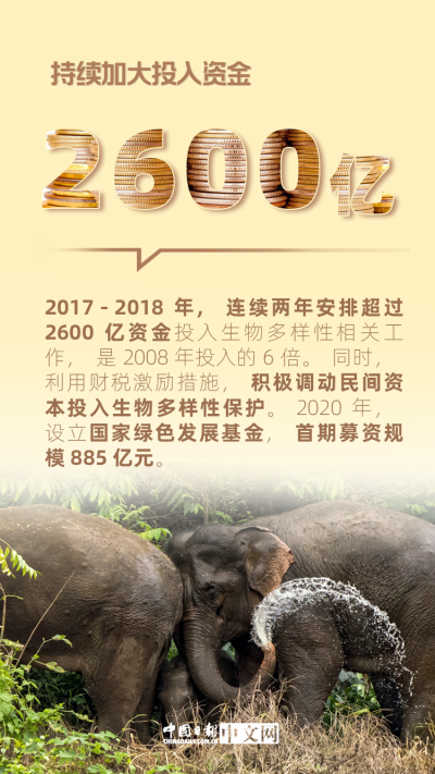 我们的共同家园｜保护生物多样性，中国这样做