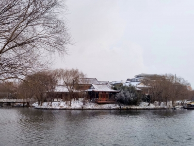 诗｜张居明：盼雪