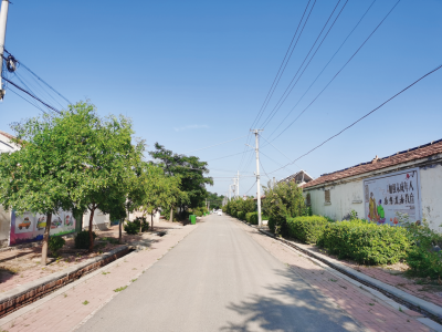 省级文明村镇丁庄镇：下足绣花功夫全面提升人居环境精细化治理水平