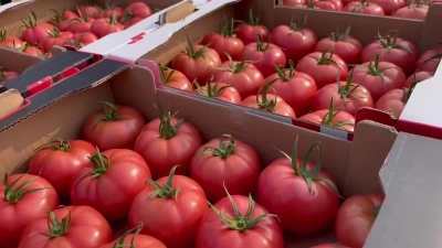 高质量发展现场观摩视频全记录 | 庆云县