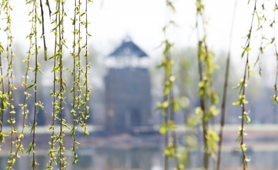 德州经开区陈段沟获评省级美丽幸福示范河湖