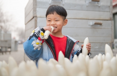 平原：花馍飘香迎新春