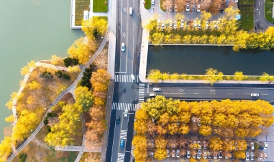 诗｜张洪崑：坐十八路车去看你