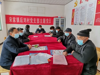 陵城区宋家镇实行党员分片包户责任制 | 1200名党员筑牢疫情防控防线