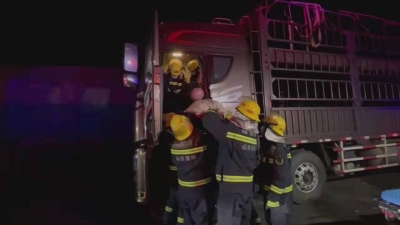 德州高速服务区货车司机突发疾病急需送医：“ 喂，119吗？我们是120，请求支援……”