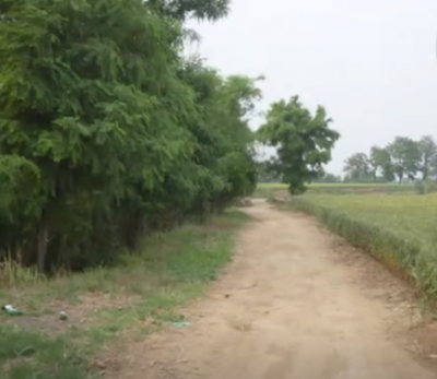 诗 | 刘立新：那条路