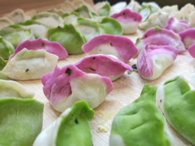 美文｜王季春：素馅饺子