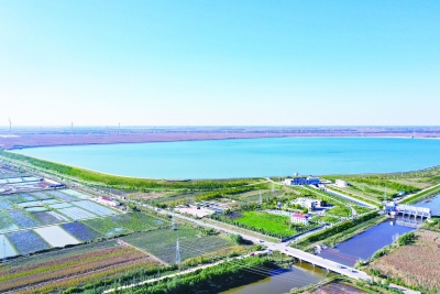 武城构建协同治理体系，强化生态环境管理 | 2021年揽下3个“全市第一”