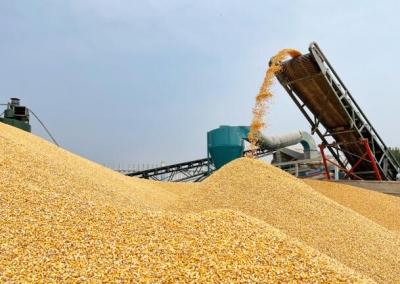 338.8亿元！德州市粮食产业经济工业总产值创历史新高