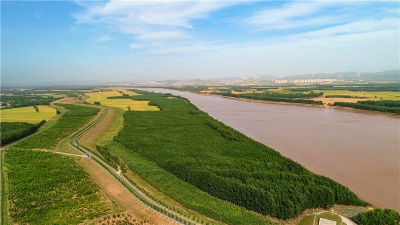 绘就美丽幸福河湖新画卷 | 齐河黄河河务局创建黄河（齐河段）省级美丽幸福示范河湖工作纪实