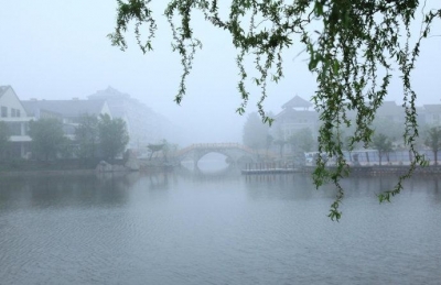 诗 | 张洪崑：咏柳