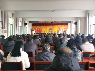 陵城区宋家镇：锚定三大目标 引领经济社会高质量发展