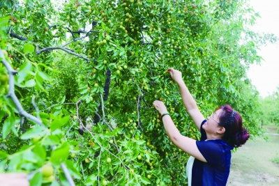 诗｜希音东听：有树在心