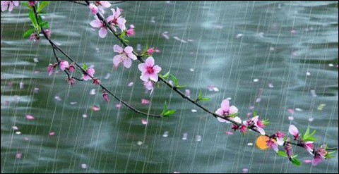 诗｜王艳丽：早春