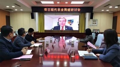 德州市应邀参加荷兰现代农业网络研讨会 探讨现代化温室可持续种植模式
