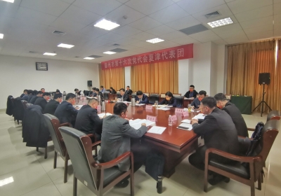 创新驱动 打造区域发展高地 | 夏津代表团讨论十五届市委报告