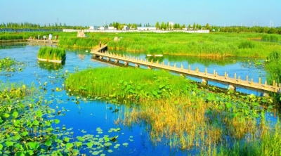 献礼党代会 建功新时代 | 夏津：将美好蓝图化为生动实景