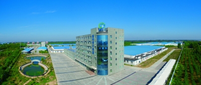 献礼党代会 建功新时代 | 德州恒丰集团：党建引领促发展 恒丰集团展活力