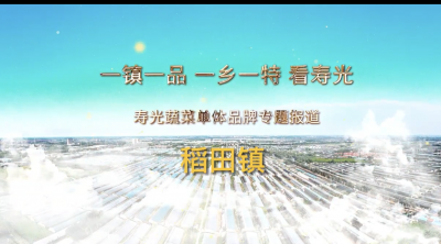 好品山东丨“搞”起产业链，种出“好光景”：樱桃番茄网红甜瓜口碑佳销量好
