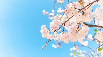  诗 | 康丙云: 立春