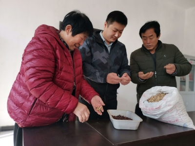 宁津津城街道太平店村：治穷治脏治风气 “后进村”发展有底气