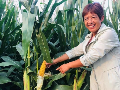 把梦想种进这片热土 | 市十五次党代会代表郭云写给市十六次党代会代表袁本刚的信