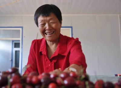 人物 | 全国妇联系统劳动模范高风英：激昂巾帼志 铺就致富路