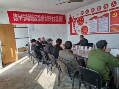 陵城糜镇：村民议事会 议出和谐乡村新局面