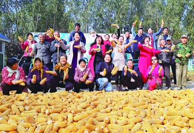 齐河夯实粮食生产能力基础，牢牢把住粮食安全主动权 | “农”墨重彩绘丰景  黄河岸边话丰年