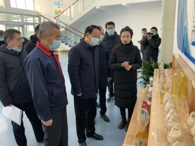 德州市委副书记、代市长朱开国到陵城区、德城区调研