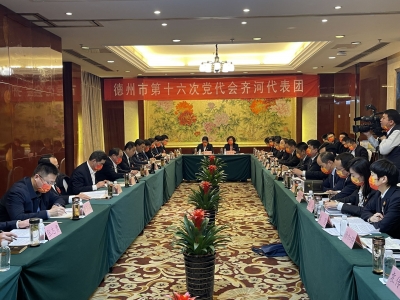 创优营商环境 提动力增活力 | 齐河代表团讨论十五届市委报告